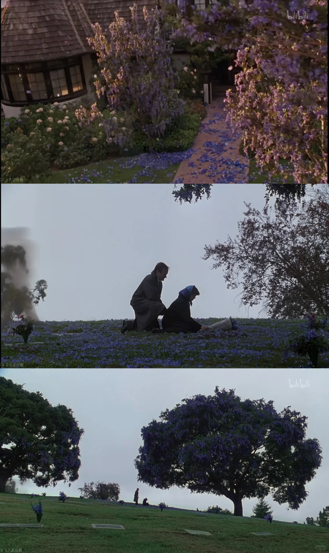 美梦成真｜神也看过并推荐的电影