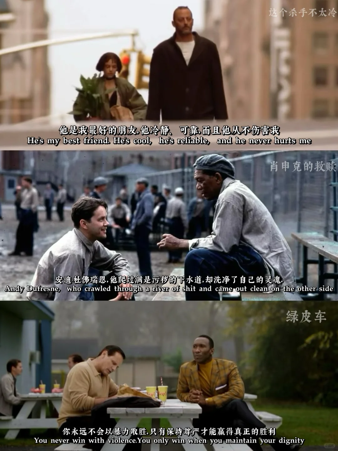 🎬新人博主🔁9部电影看透人生最珍贵的情感