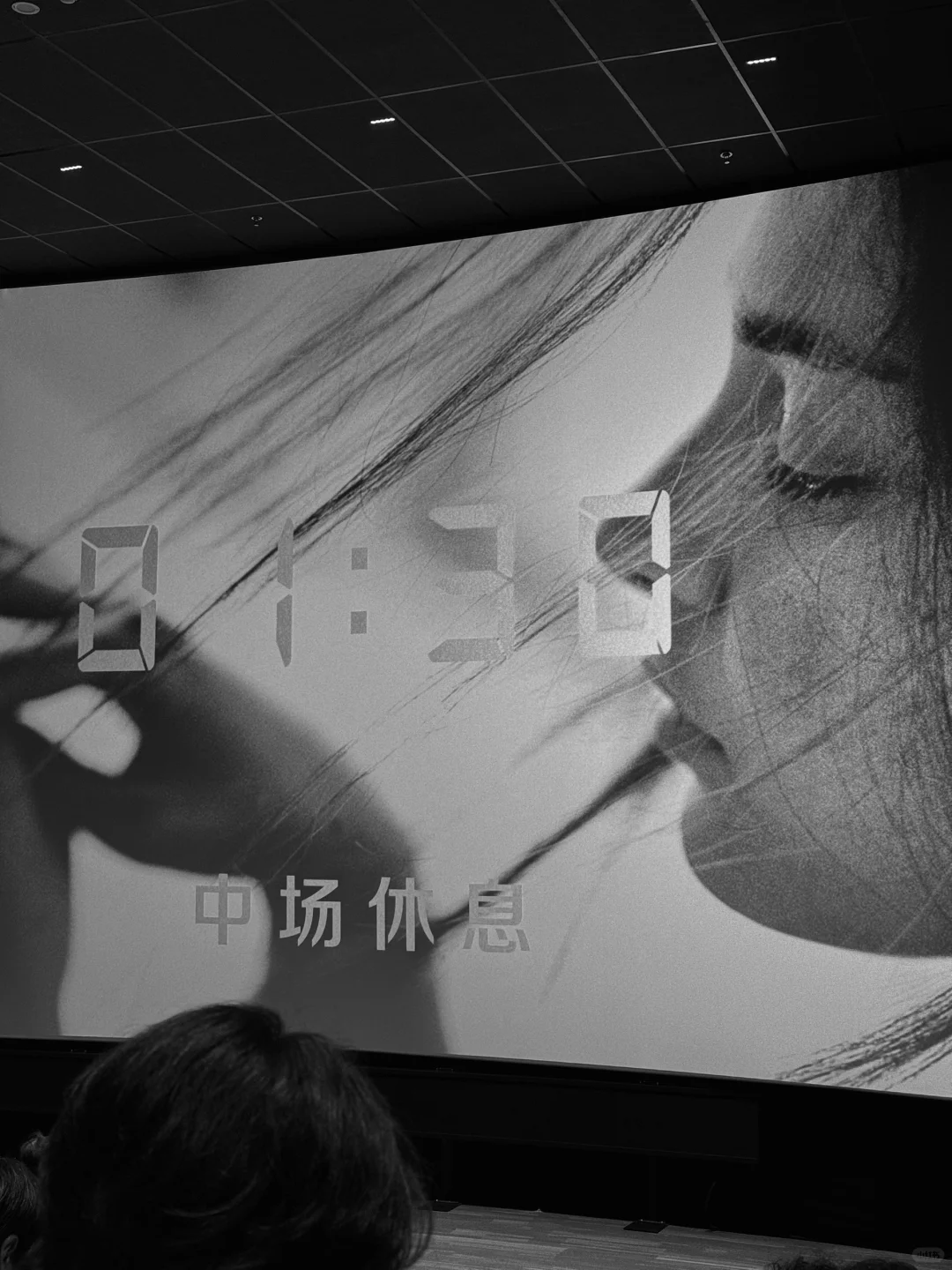 366分钟的电影也是看过了