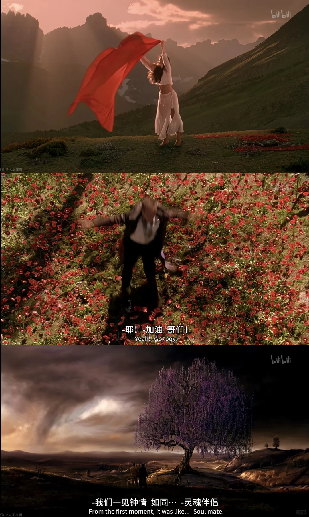 美梦成真｜神也看过并推荐的电影