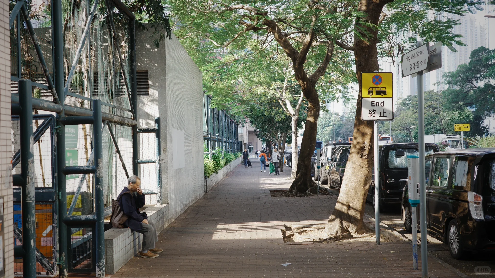 真希望在电影里过日子