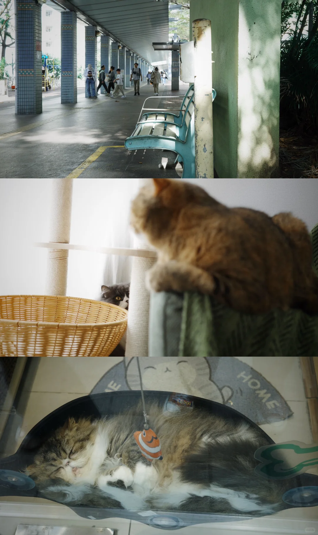 真希望在电影里过日子