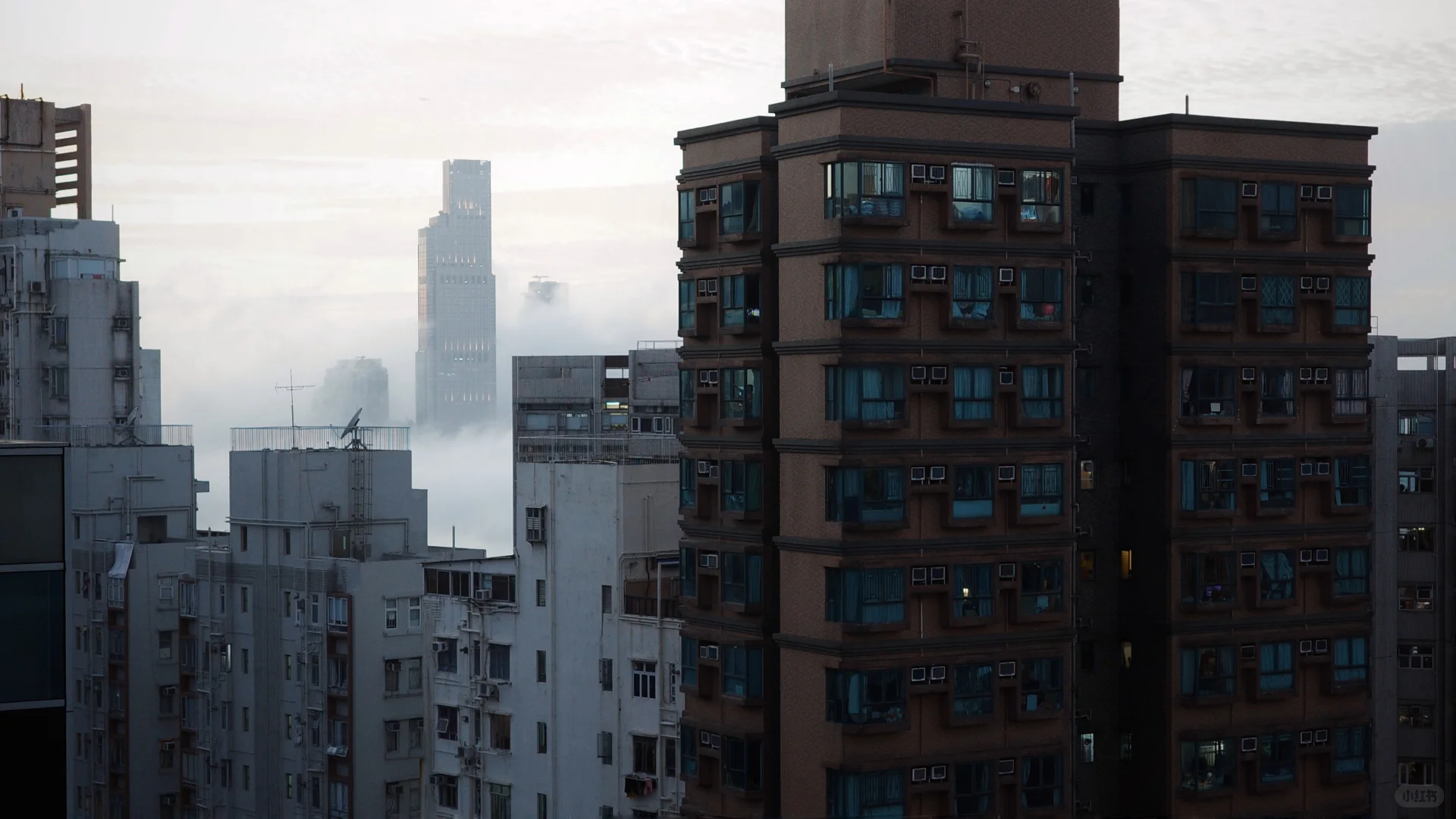 真希望在电影里过日子