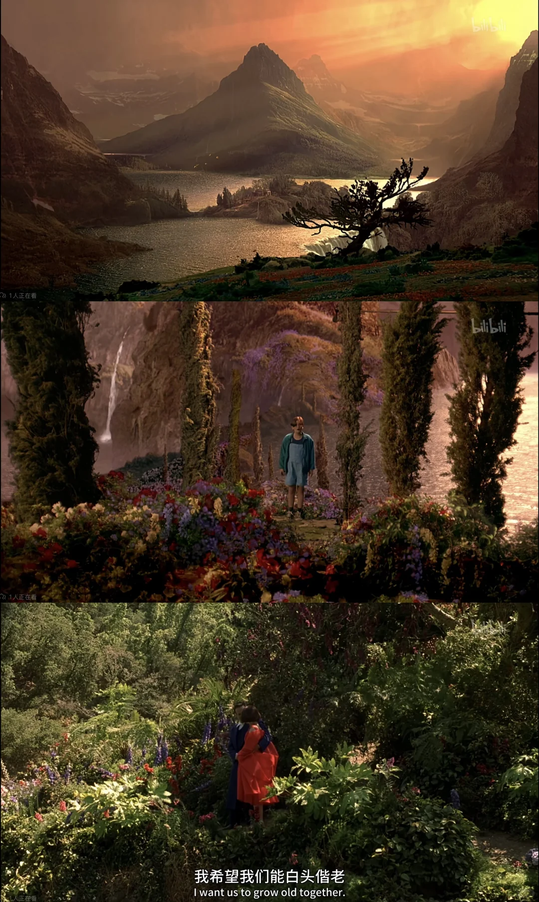 美梦成真｜神也看过并推荐的电影