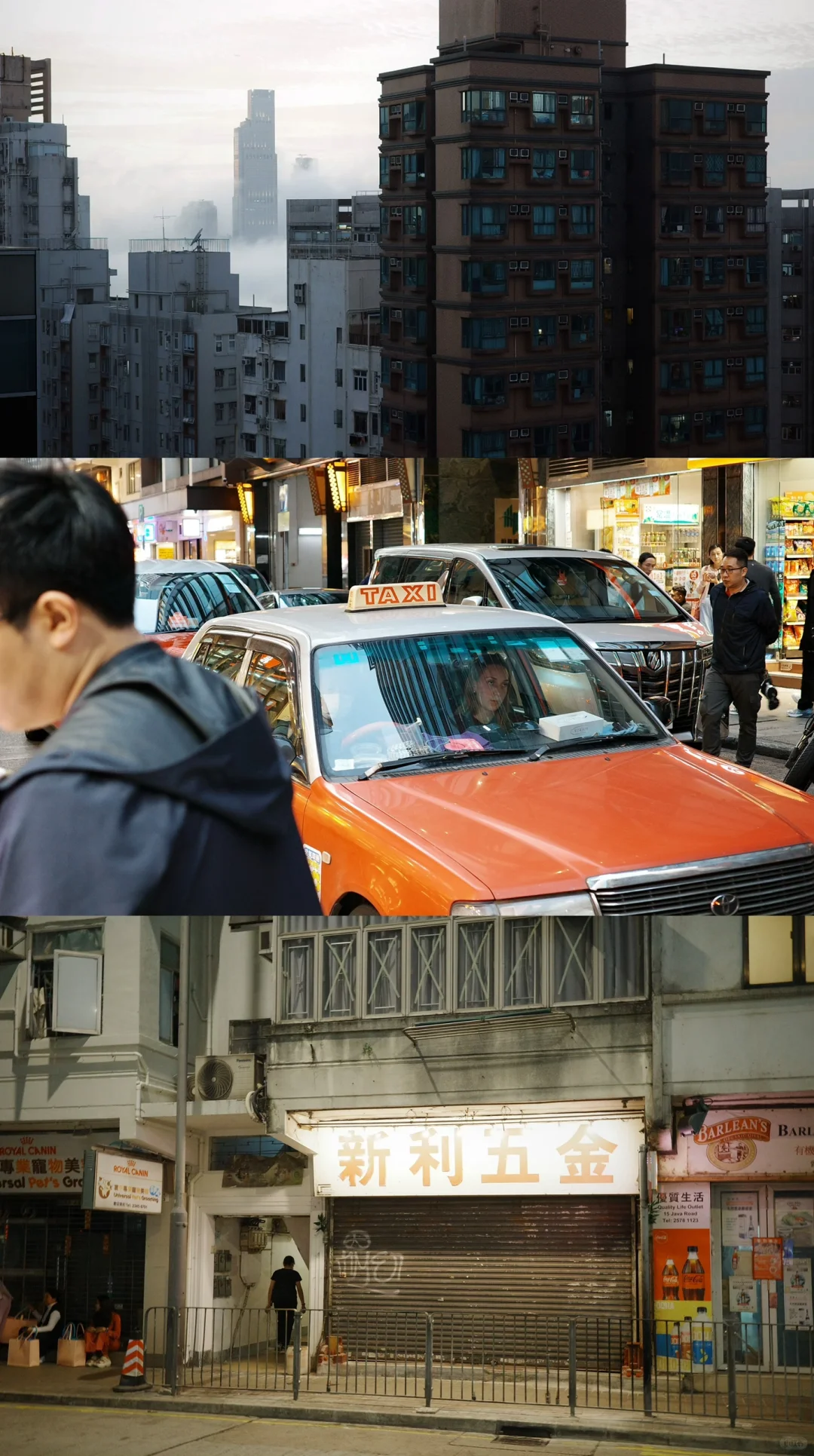 真希望在电影里过日子