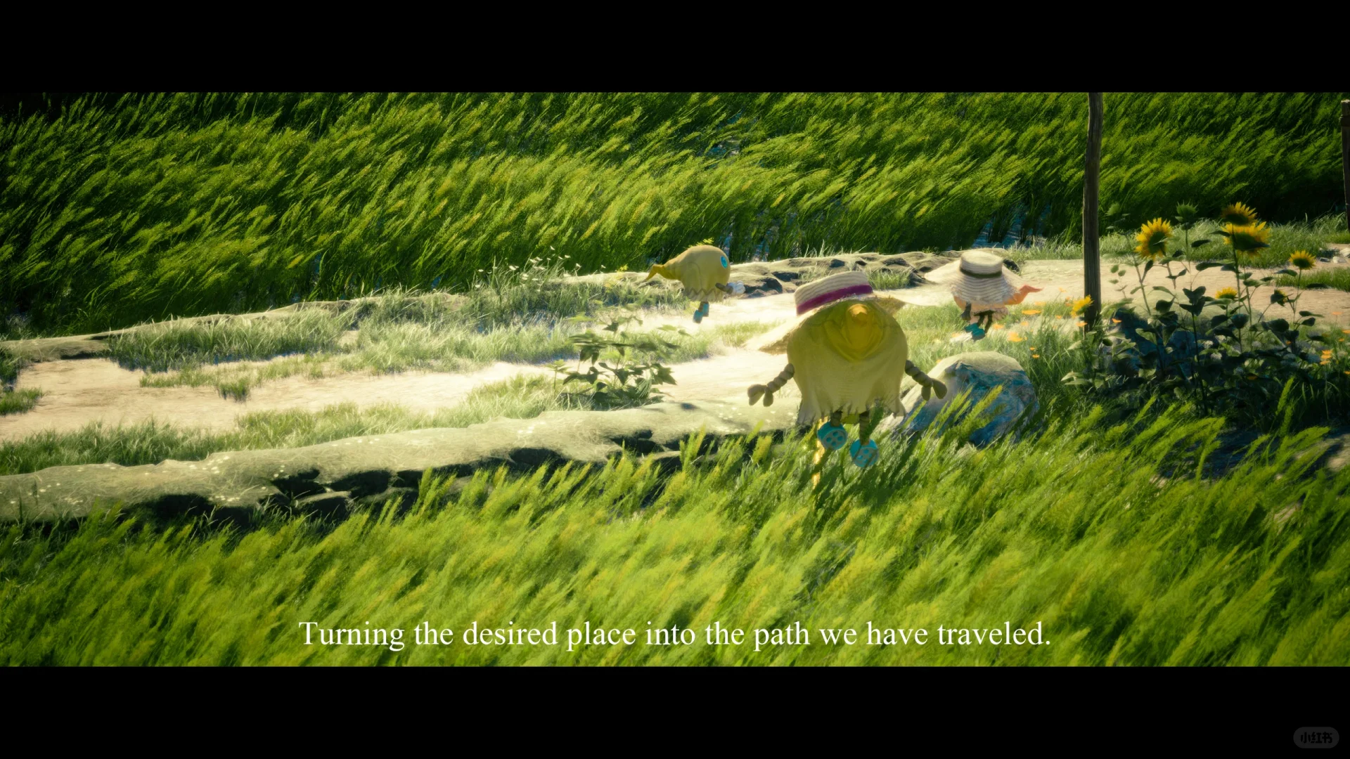 把暖暖拍出电影感 | 附参数