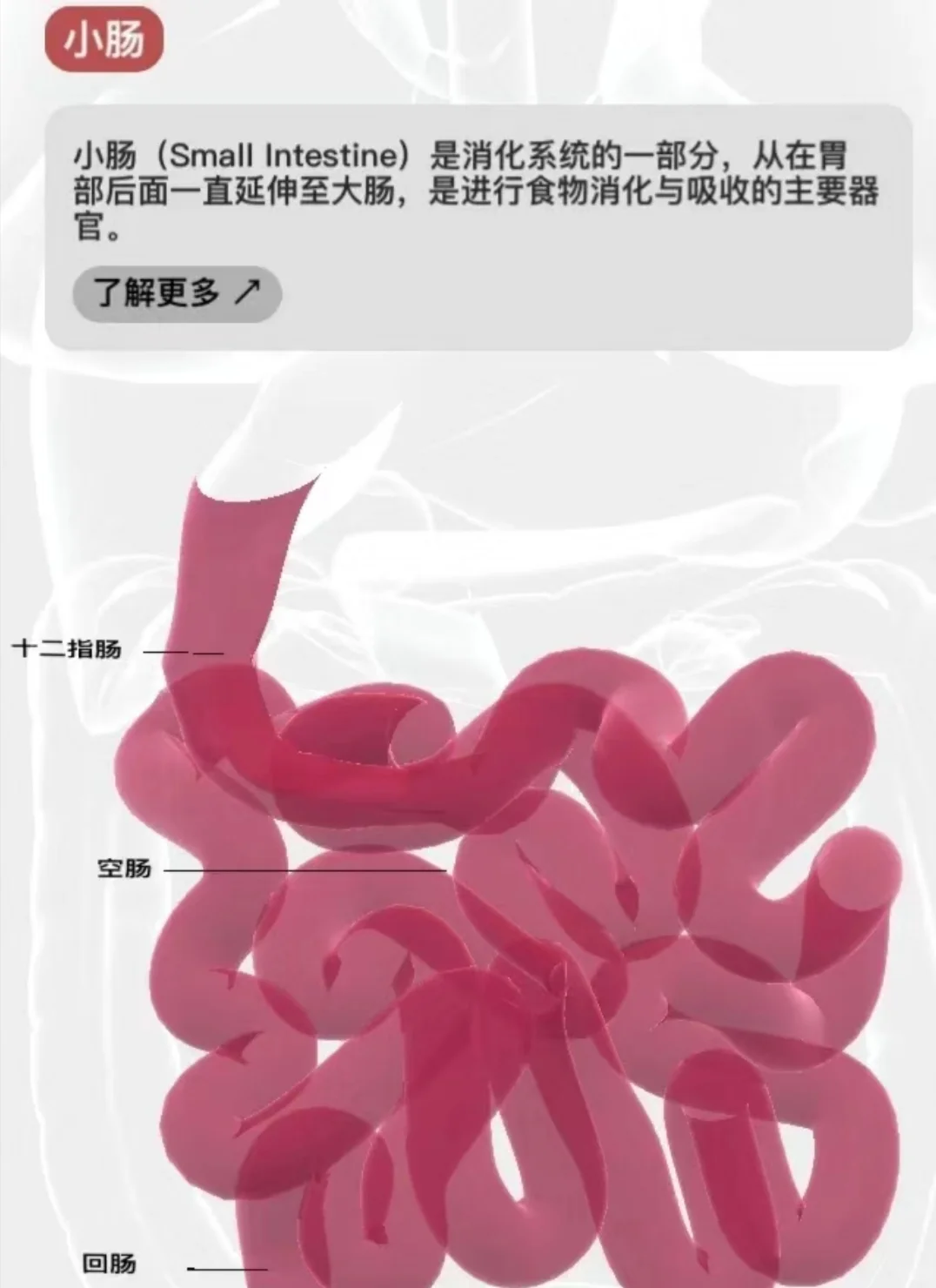 🏥🏥医学生们不要打王者和吃鸡了!!!