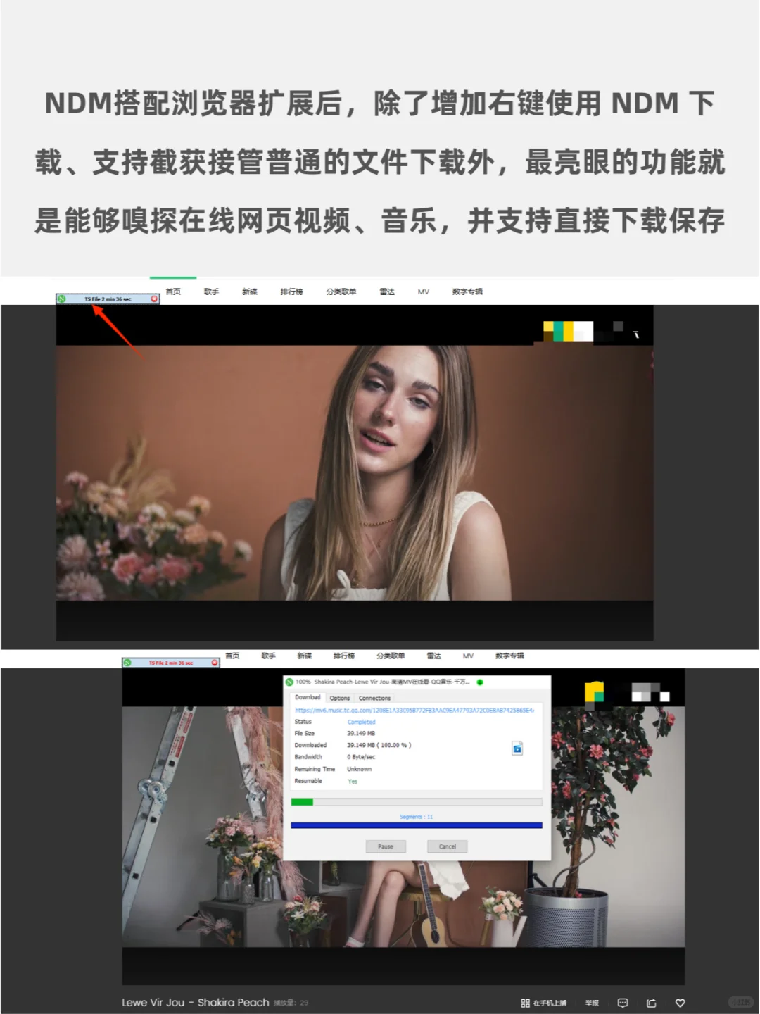 🔥IDM下载器最强平替，一键下载全网资源