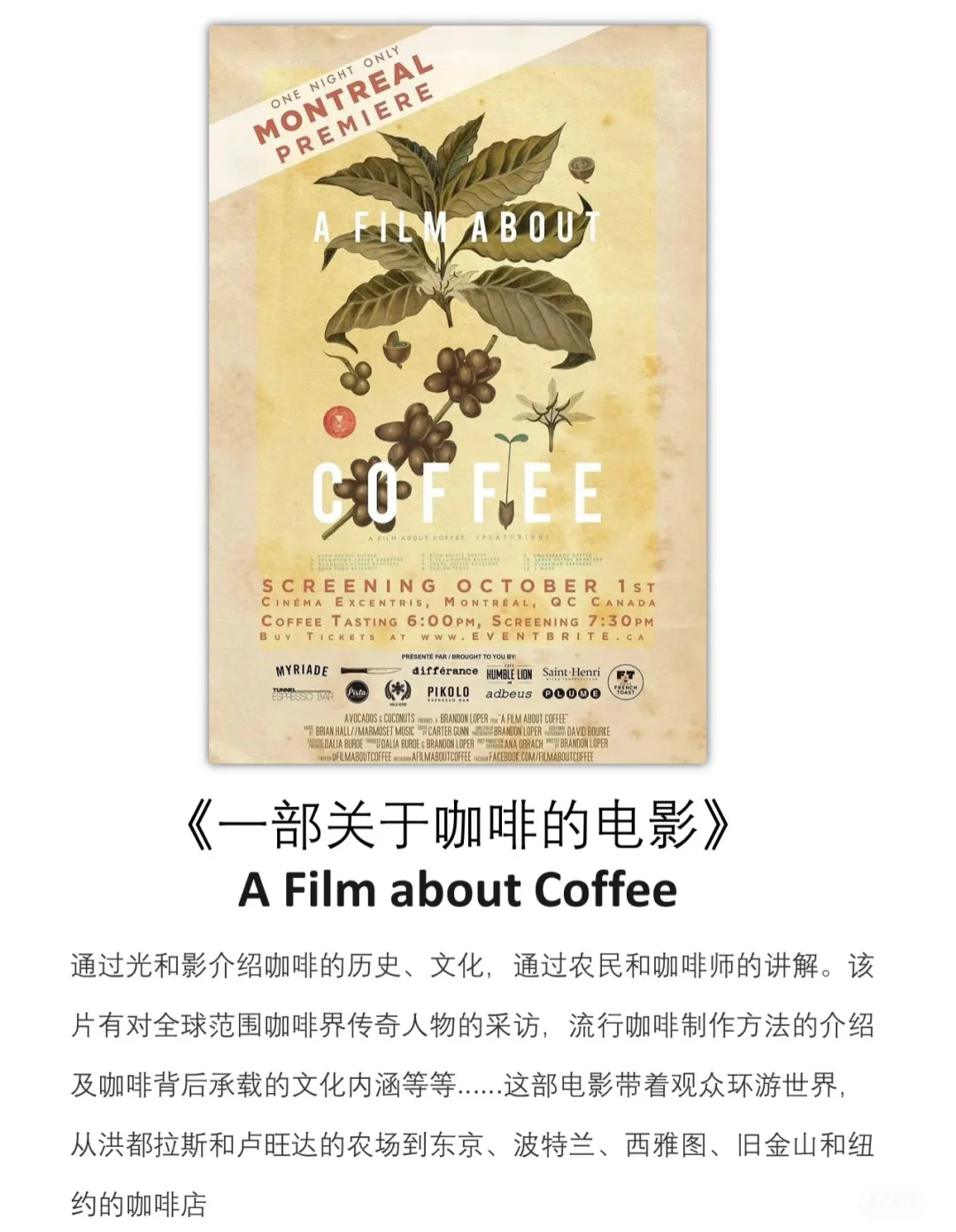 咖啡控必看5部电影🎬