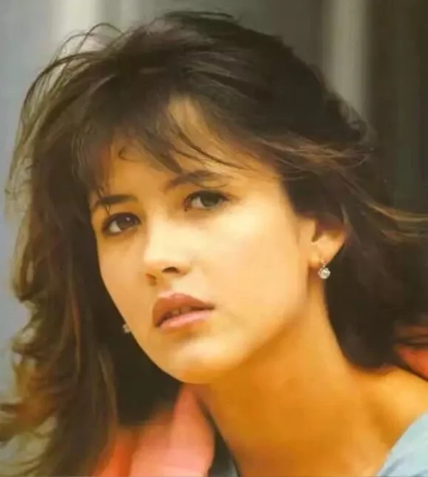 法兰西玫瑰苏菲玛索电影合集推荐