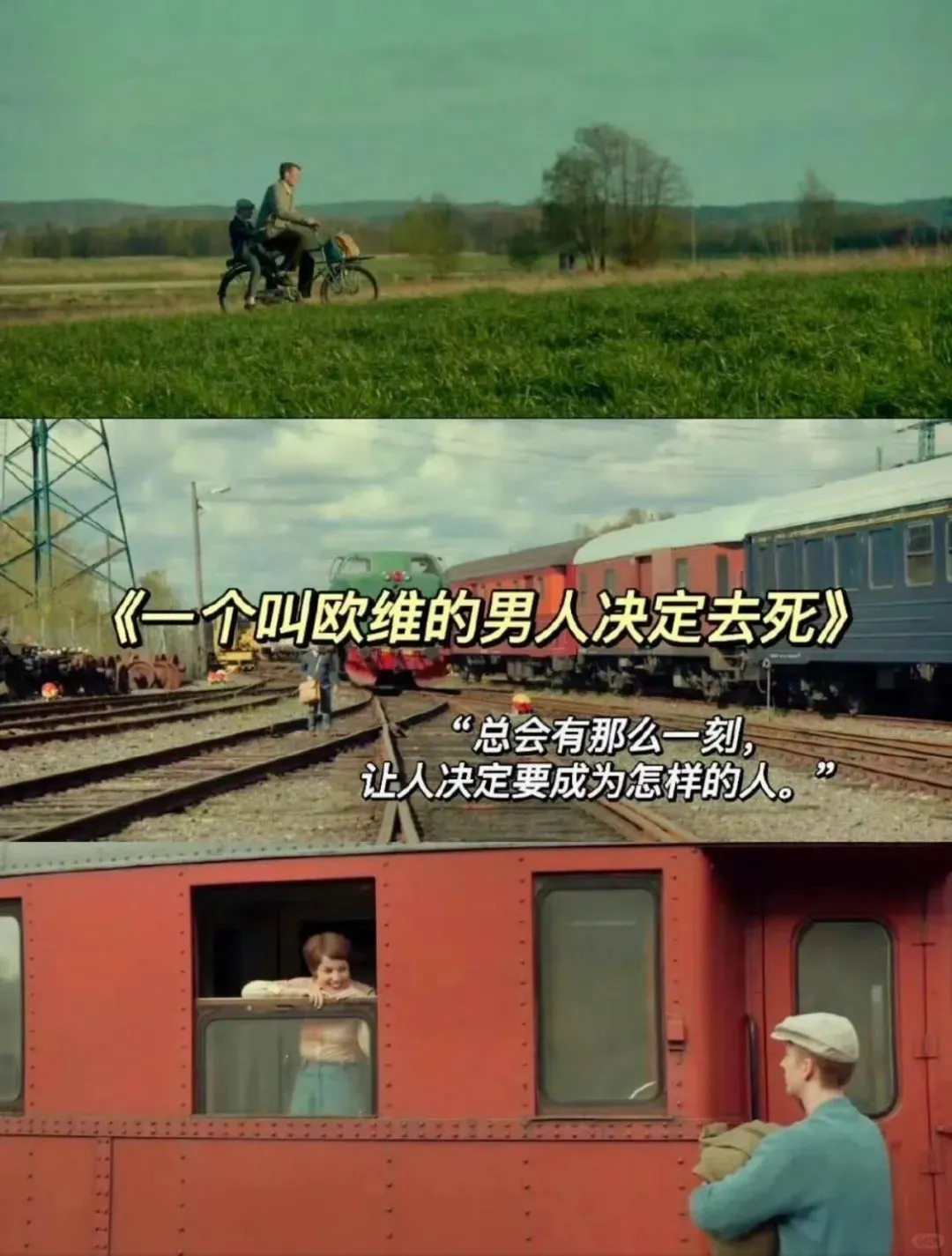 妈耶❗我真的好爱好爱这7⃣️部电影❗❗