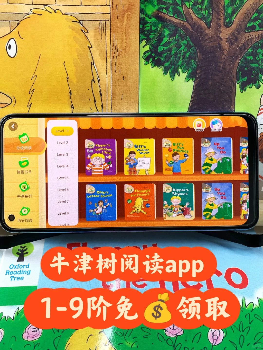 后悔😭娃都大班了才发现这个牛津树app