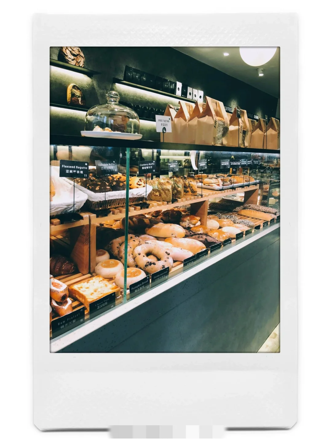 吹爆这个拍照app❗️手残党都给我去下⬇️