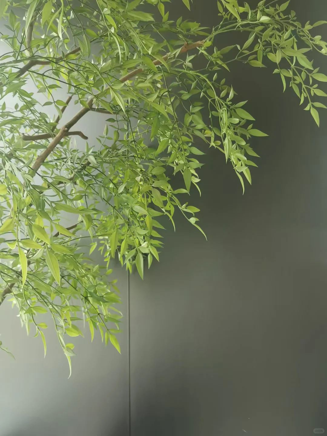 10岁娃的手机里都有些什么