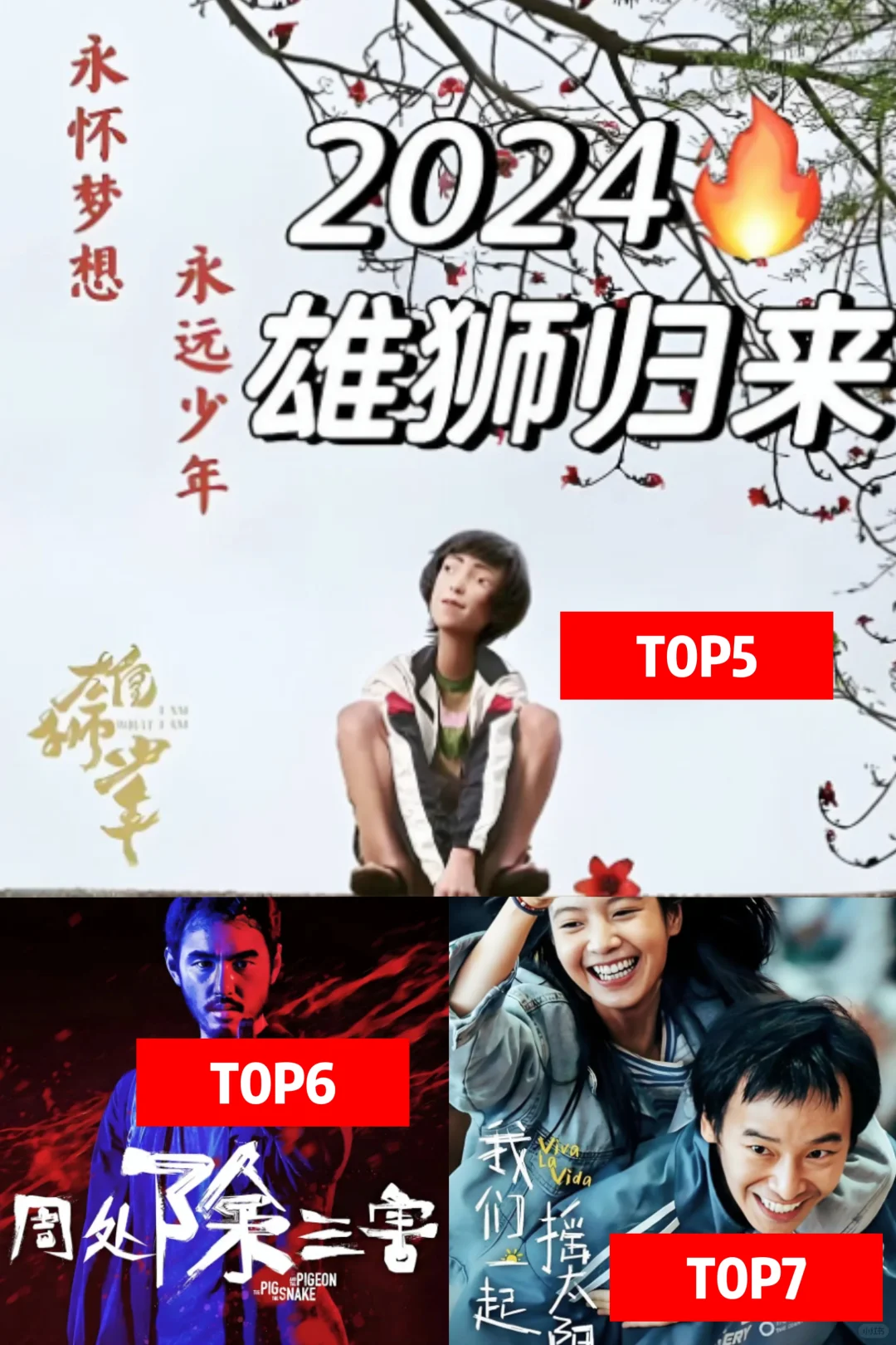 ✨ 2024年度豆瓣10大国产高分电影！