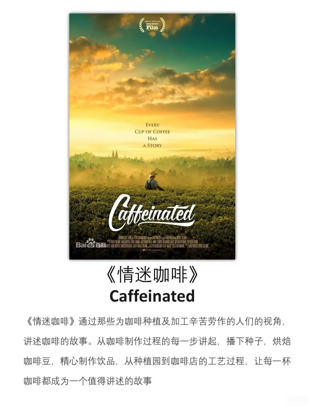 咖啡控必看5部电影🎬