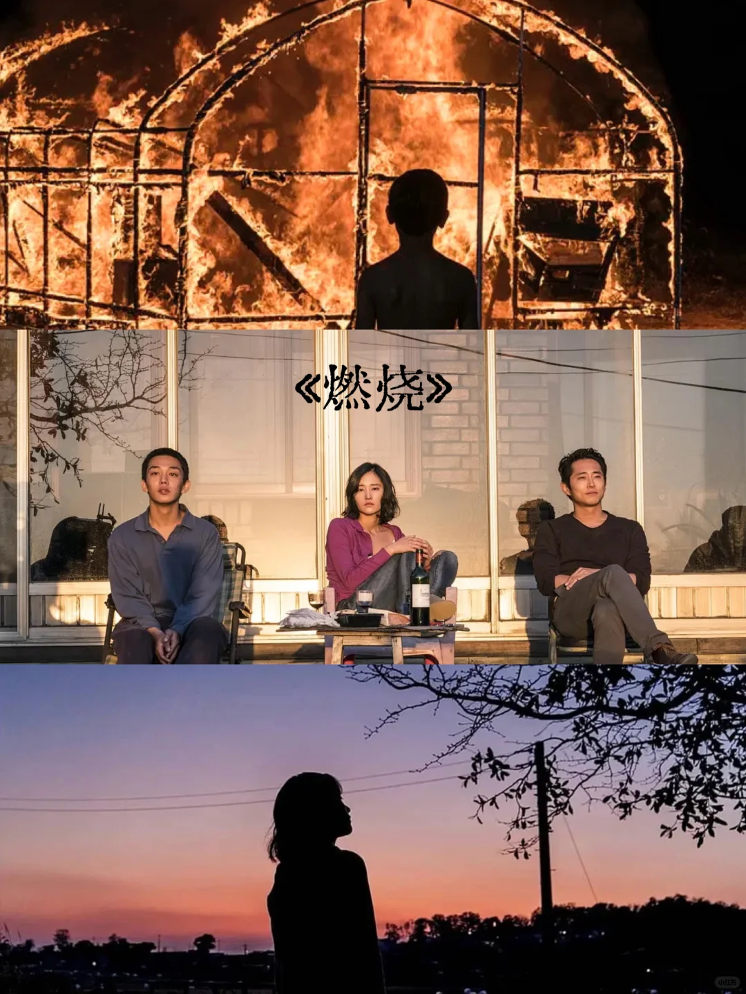 infp的人生电影🎬东亚篇