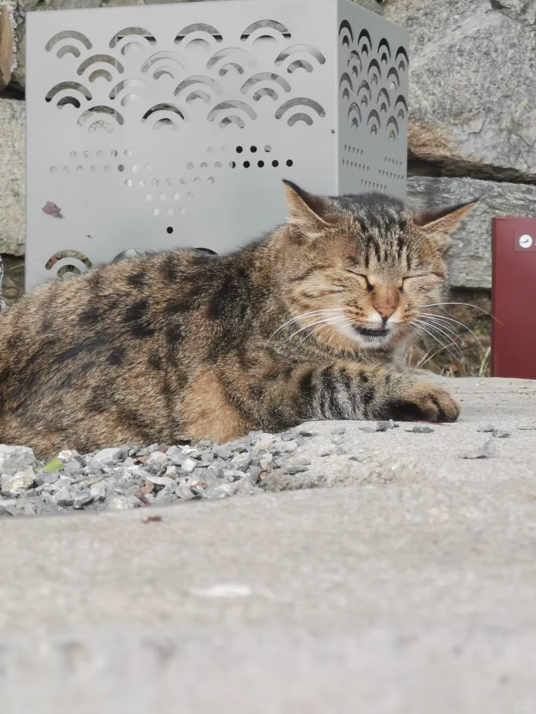 10岁娃的手机里都有些什么