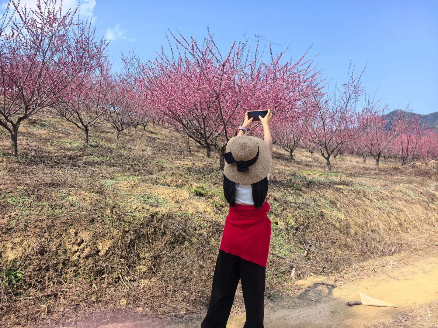 10岁娃的手机里都有些什么