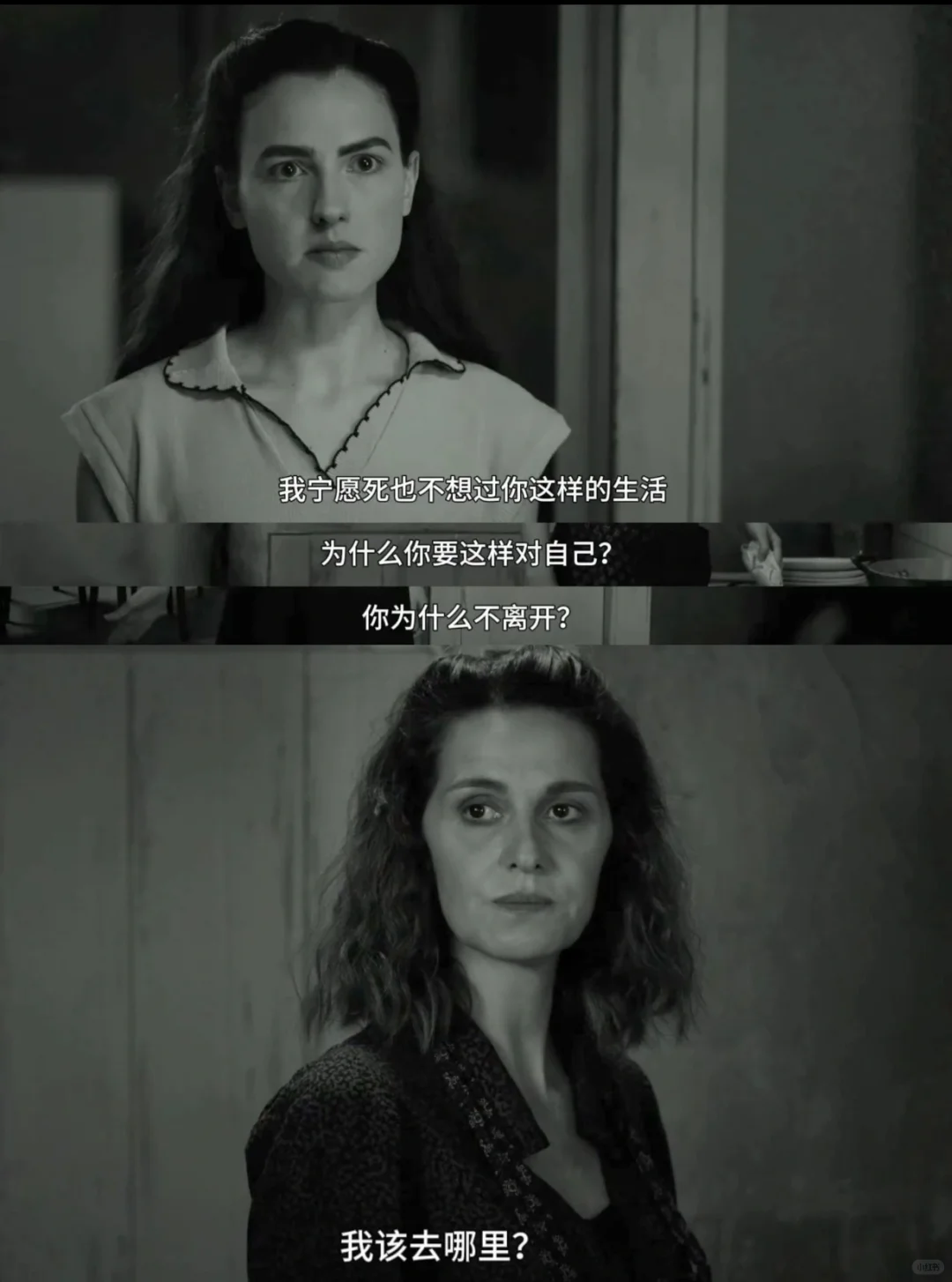 豆瓣9.1‼️不愧是年度小众佳作TOP1‼️