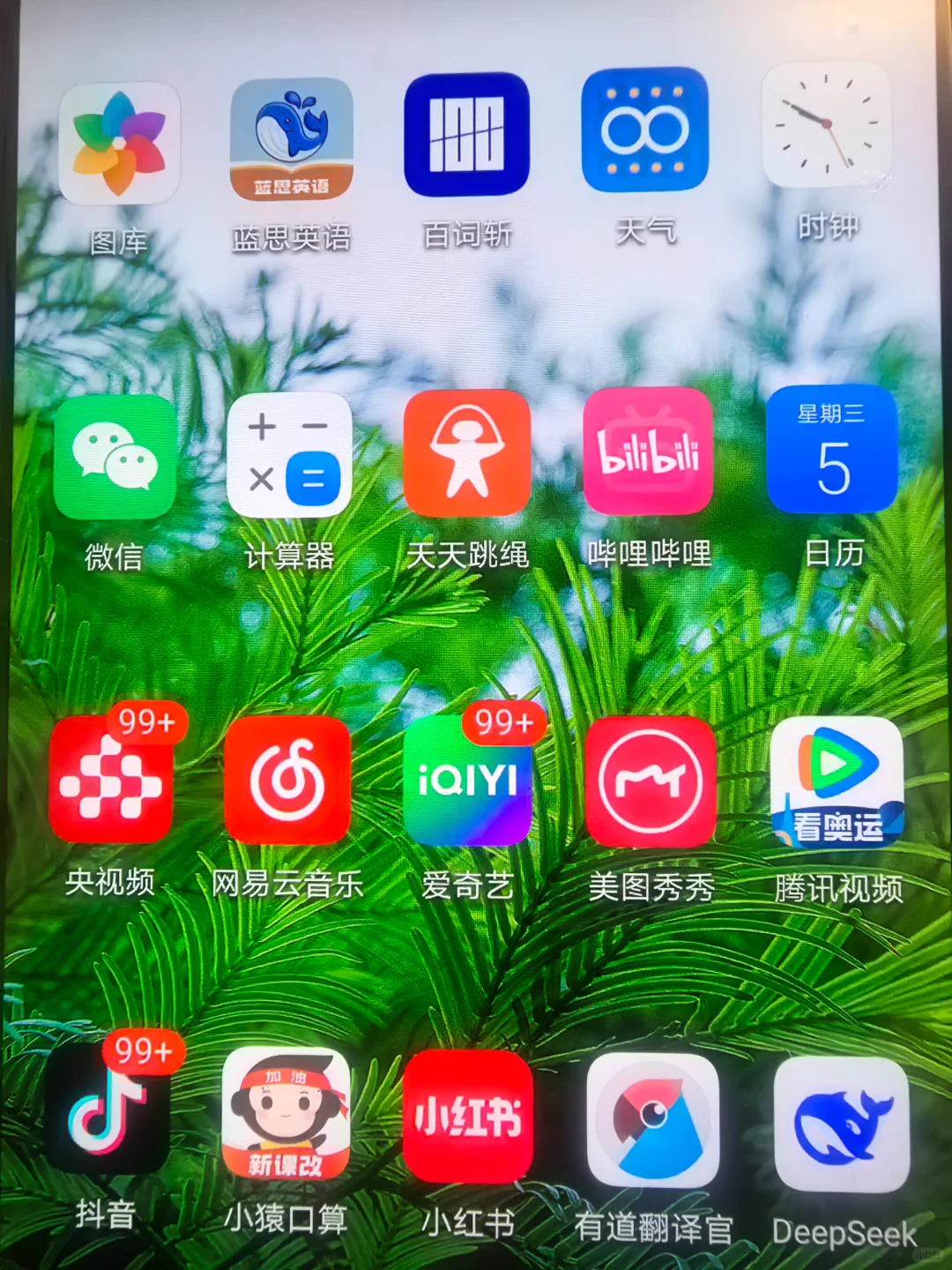 10岁娃的手机里都有些什么