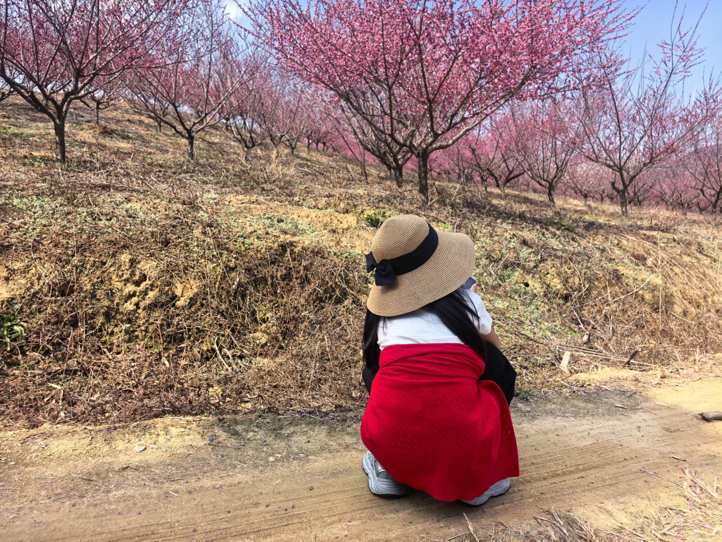 10岁娃的手机里都有些什么