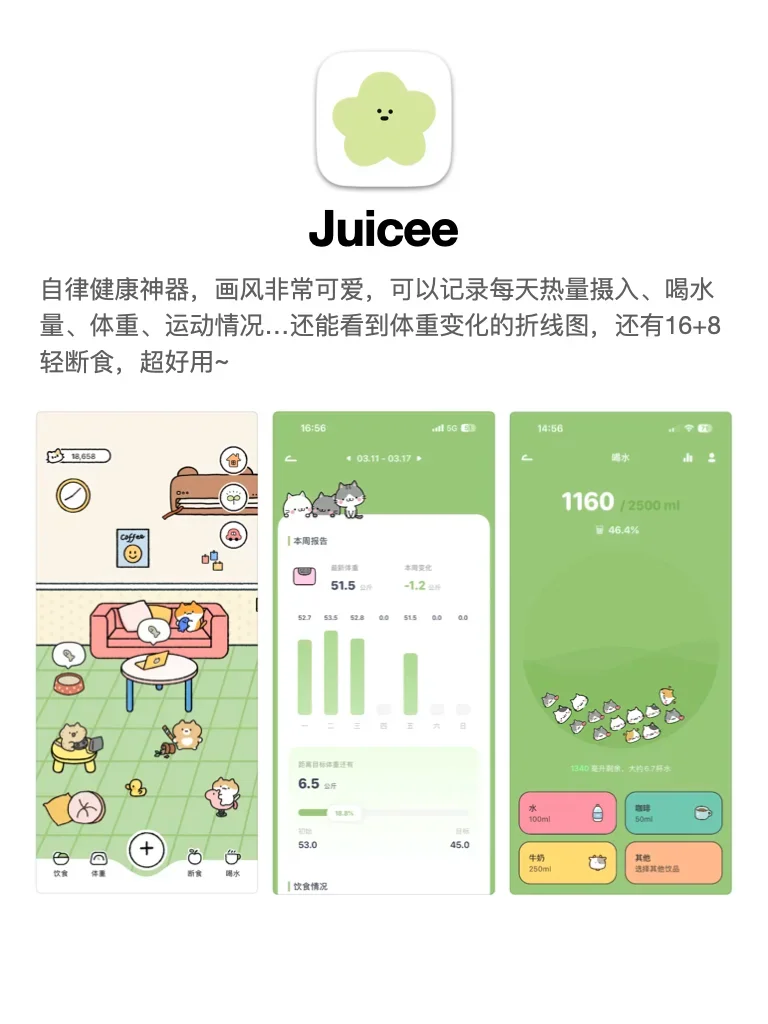 可爱不废物的宝藏APP，每一个都是心头爱