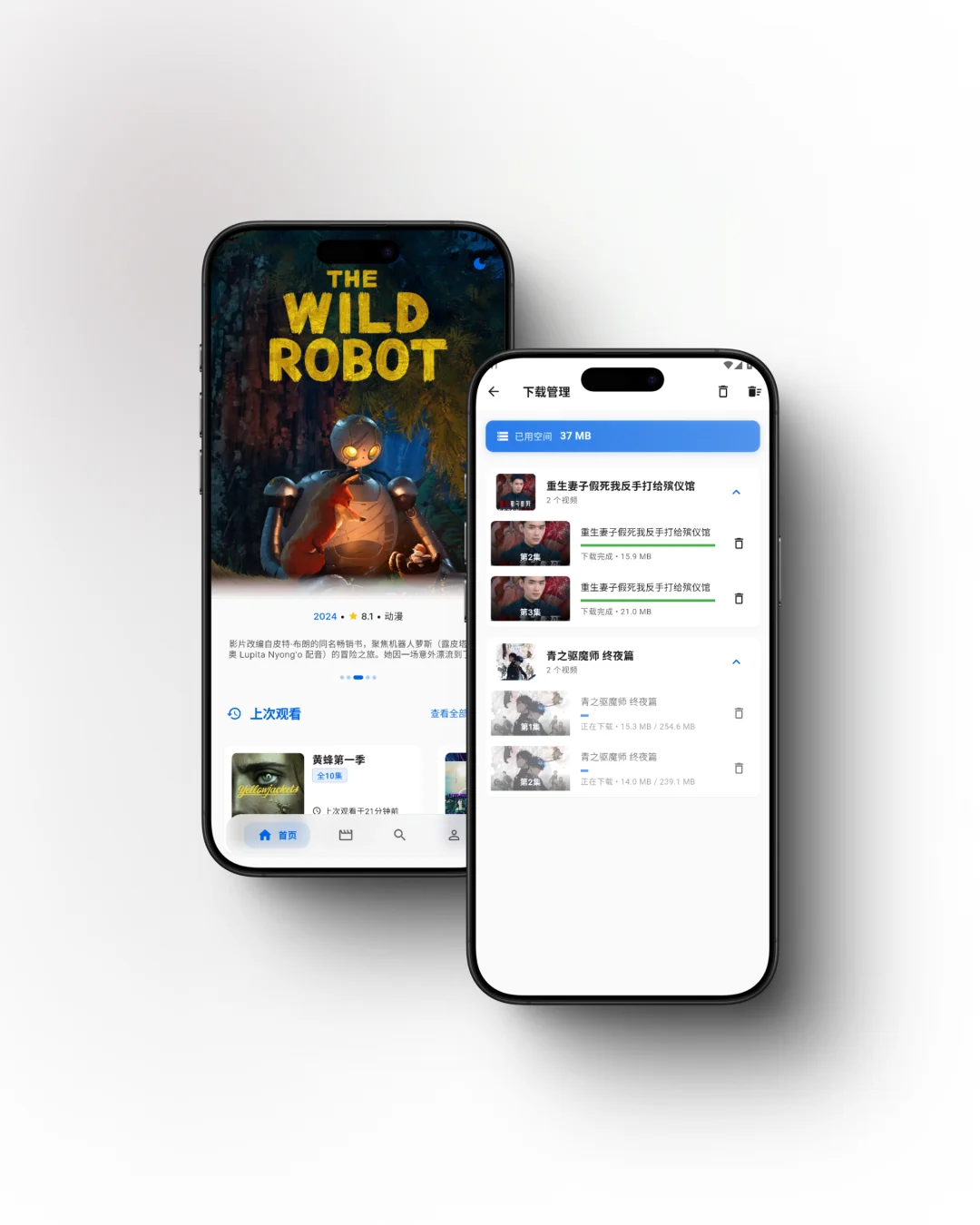 写了个手机app给自己家人看电影电视剧用