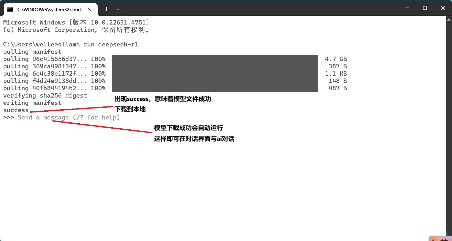 保姆级教程！手把手教你本地对话DeepSeek-R1