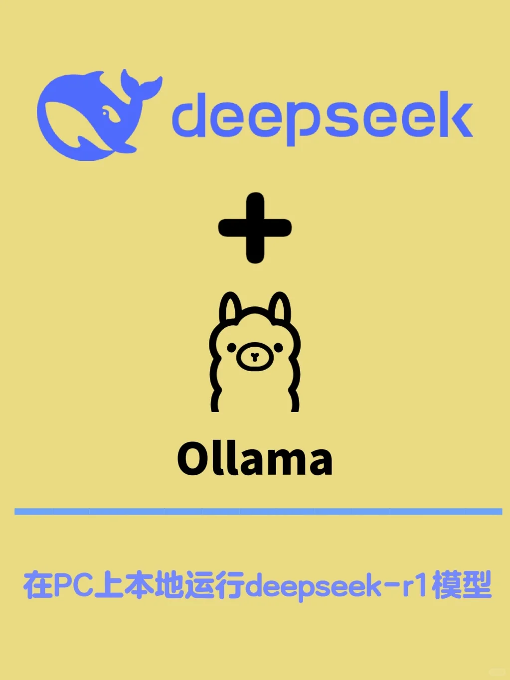 保姆级教程！手把手教你本地对话DeepSeek-R1