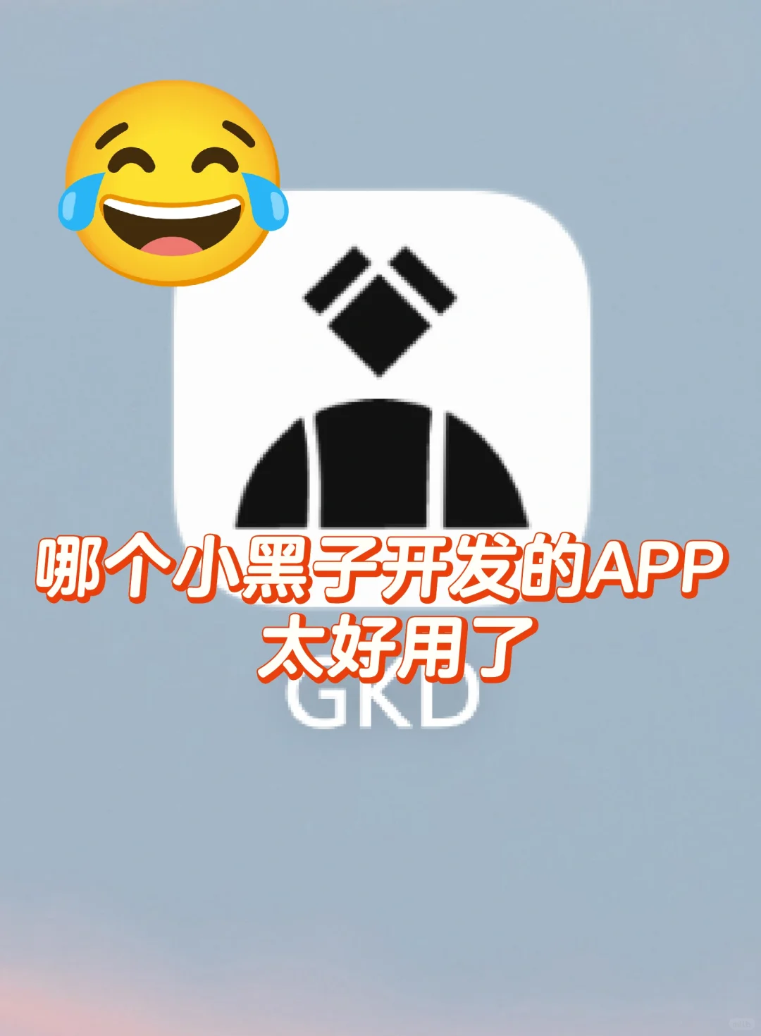 哪个小黑子开发的APP