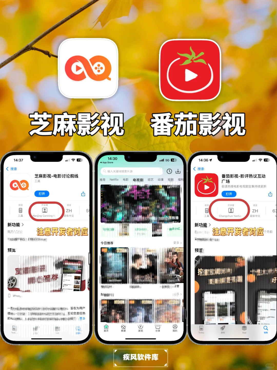 追剧神器！弹幕高清，小狐狸回归