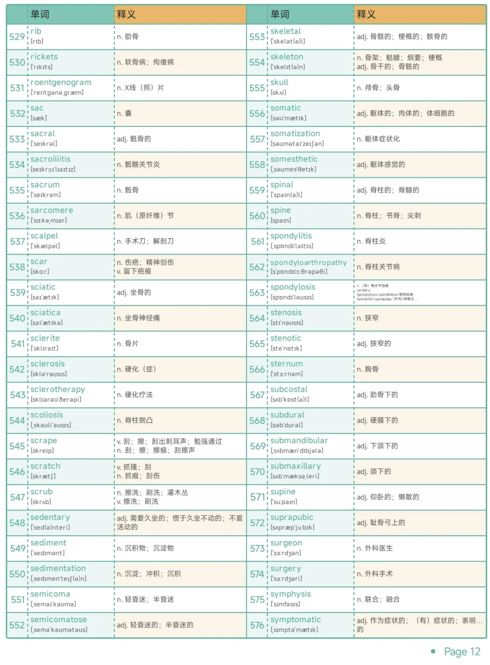 专业英语 | 骨科保研考研复试单词