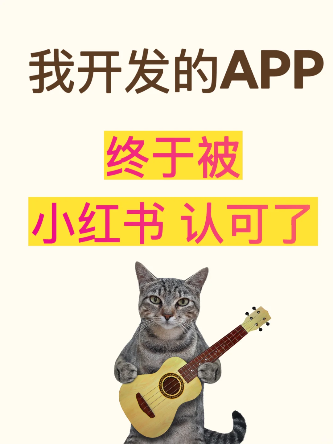 我的APP被小红书认可了！J人必备APP