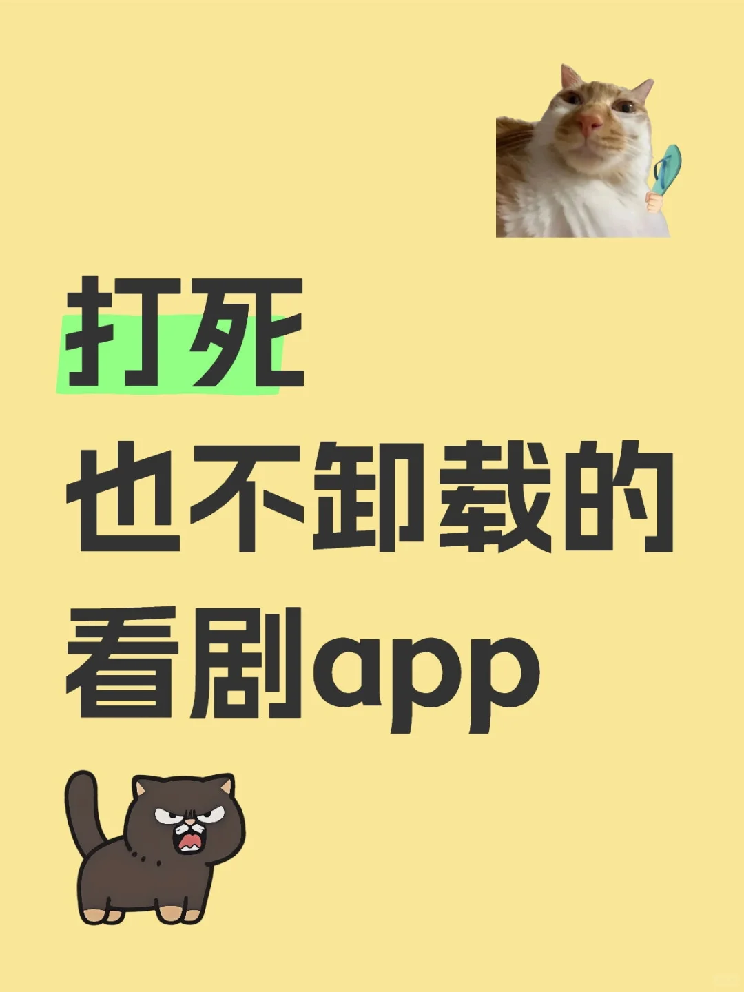 爱看剧的宝子们有福啦😘😘追剧神追剧必