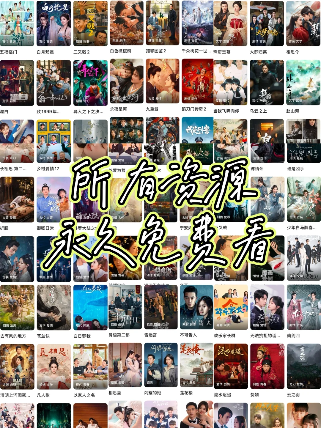 分享免费看剧app🌷