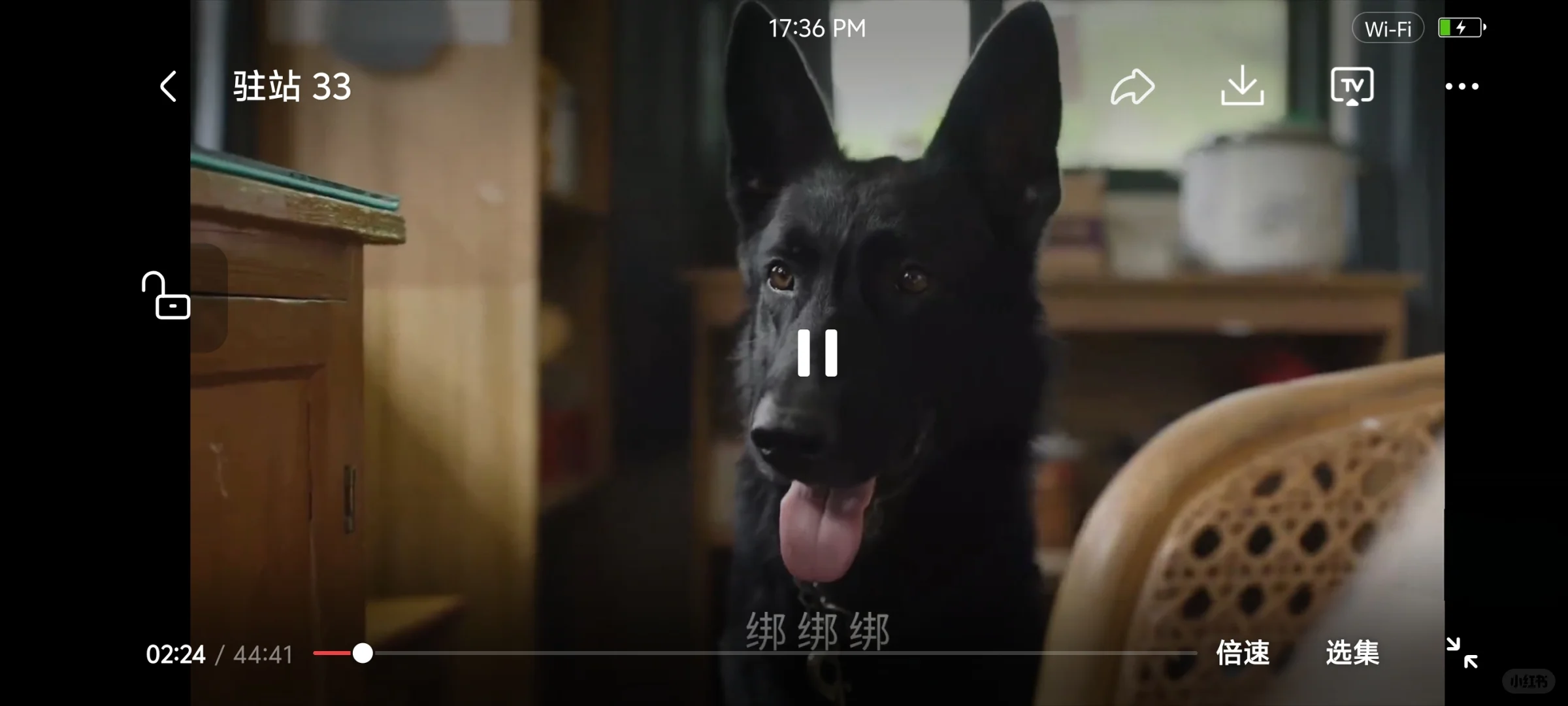 勉废追剧，宝藏app。安卓，ios