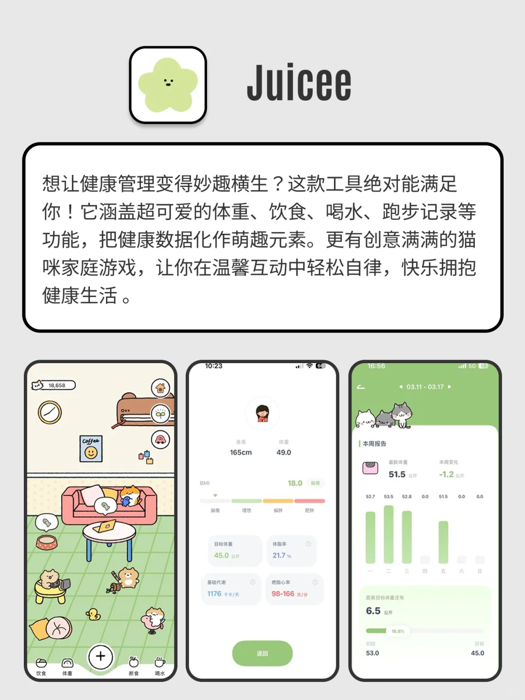 回家独处可以用的APP，小众有趣，治愈内心💓