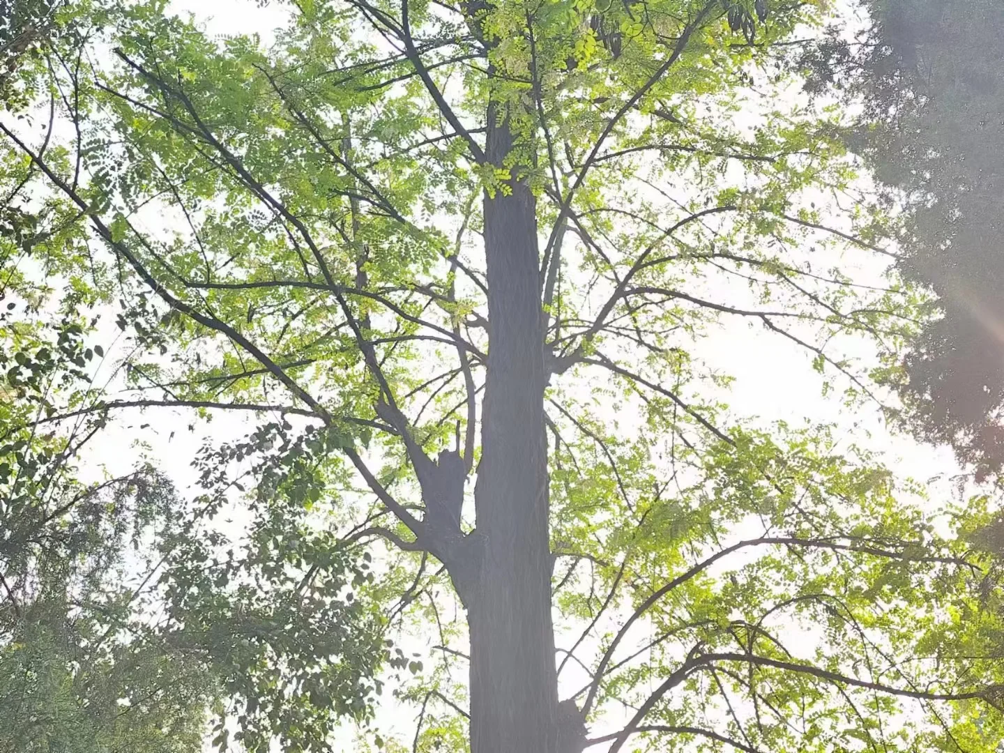 Plog｜8｜安卓手机有哪些能画服装款式的app