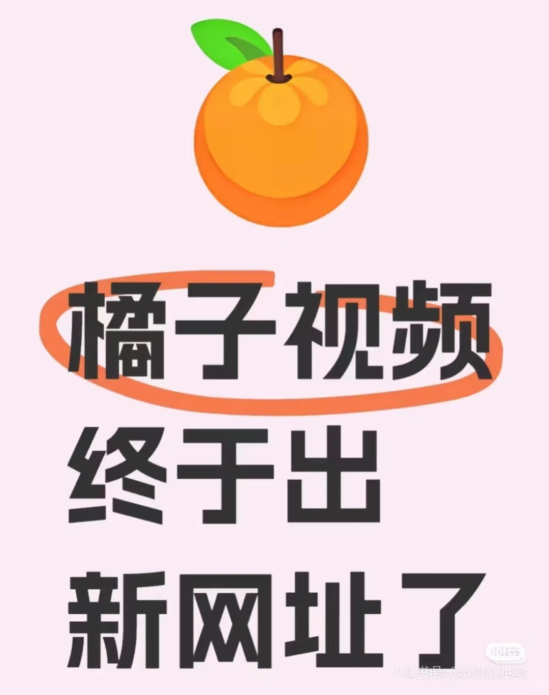 橘子视频终于来了