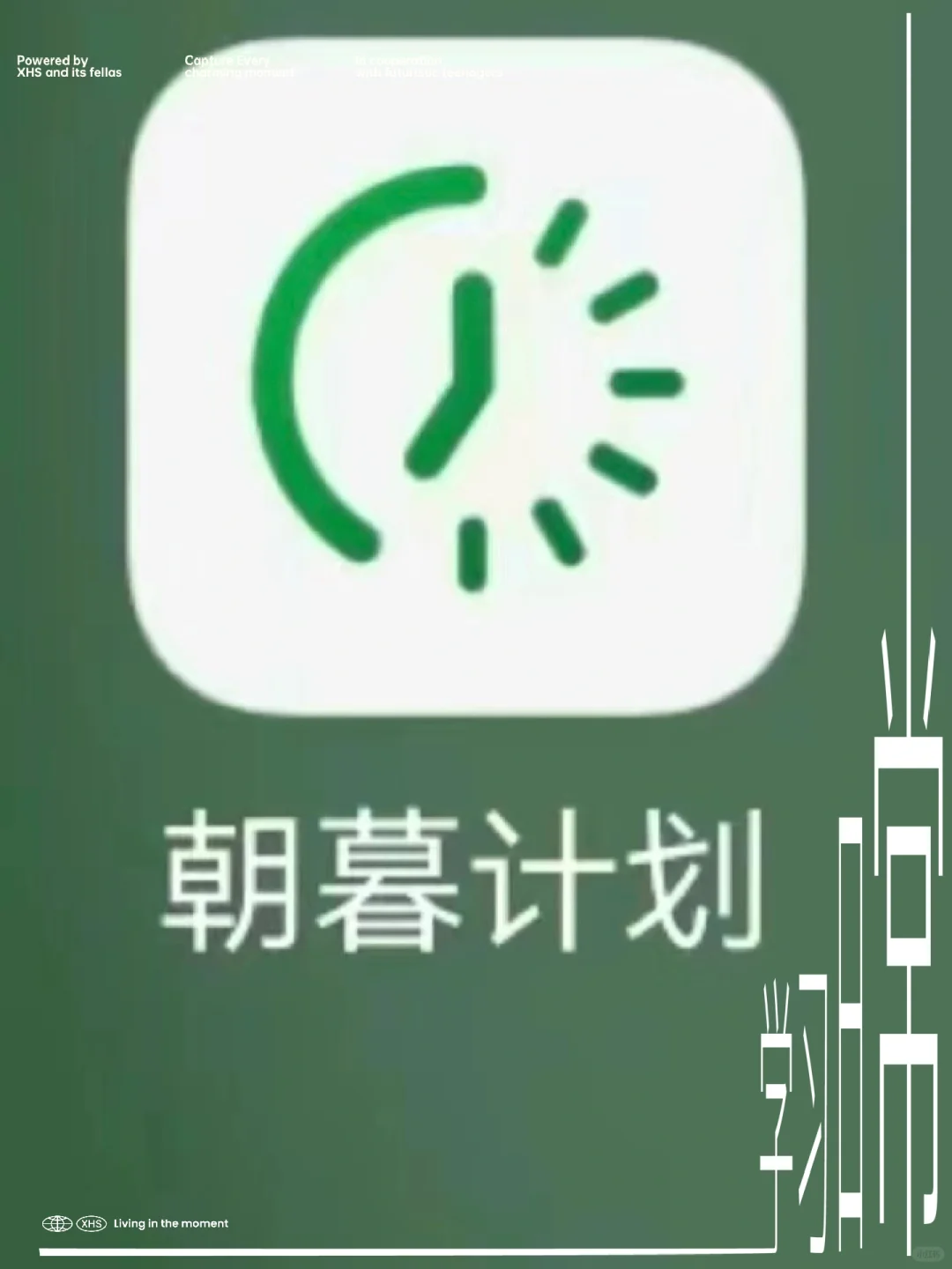 小众宝藏app超好用