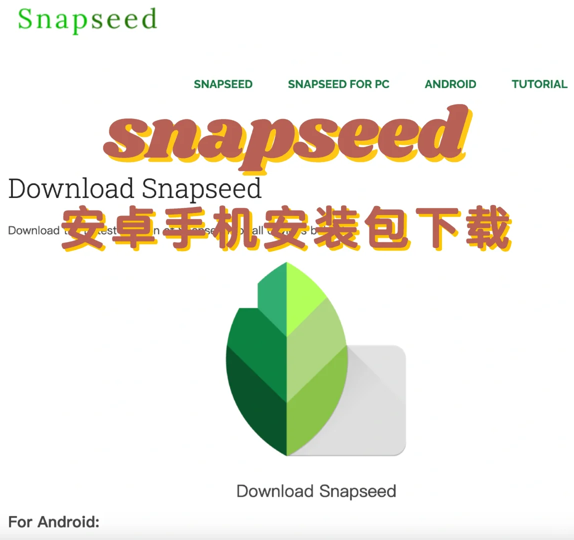 2025实测snapseed安卓手机安装包下载
