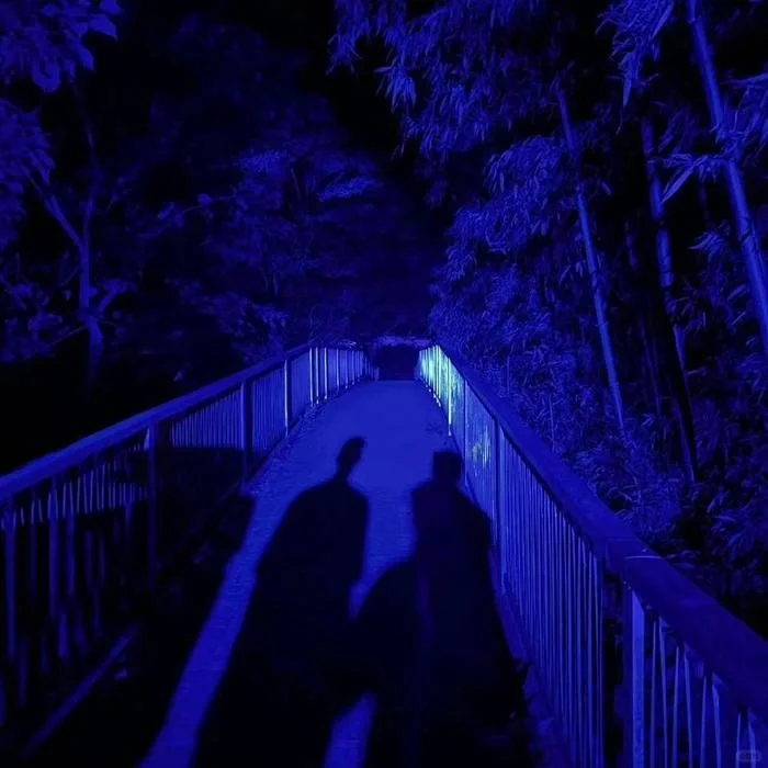 iOS和安卓追剧听歌APP都有了😂😂😂