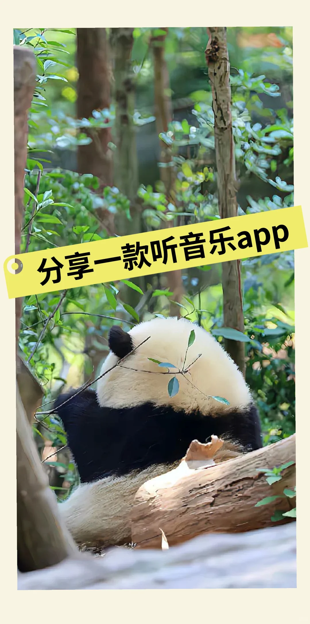 分享一款免费音乐🎵app