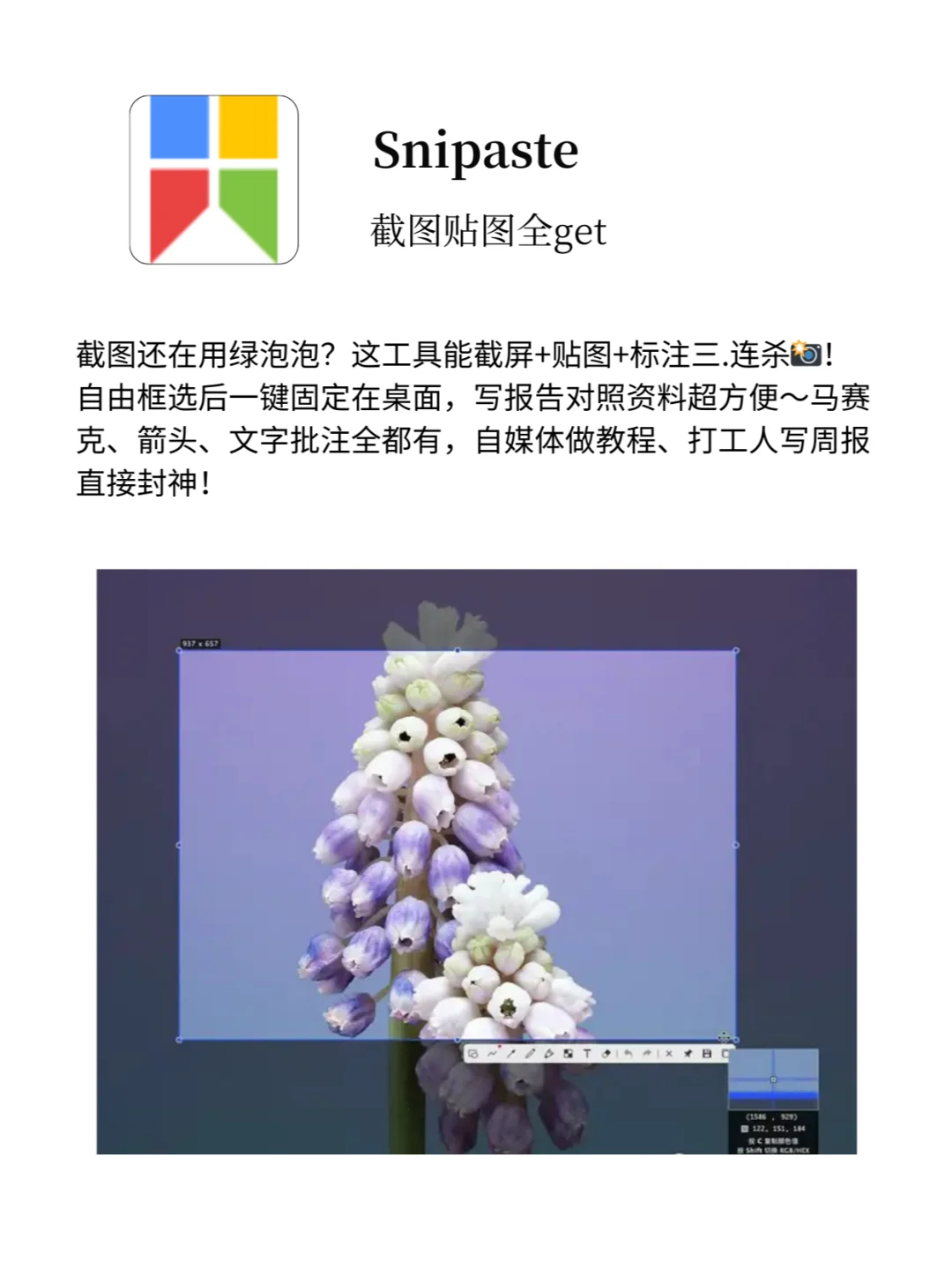 一键提升效率🚀！2025 Windows 必装软件