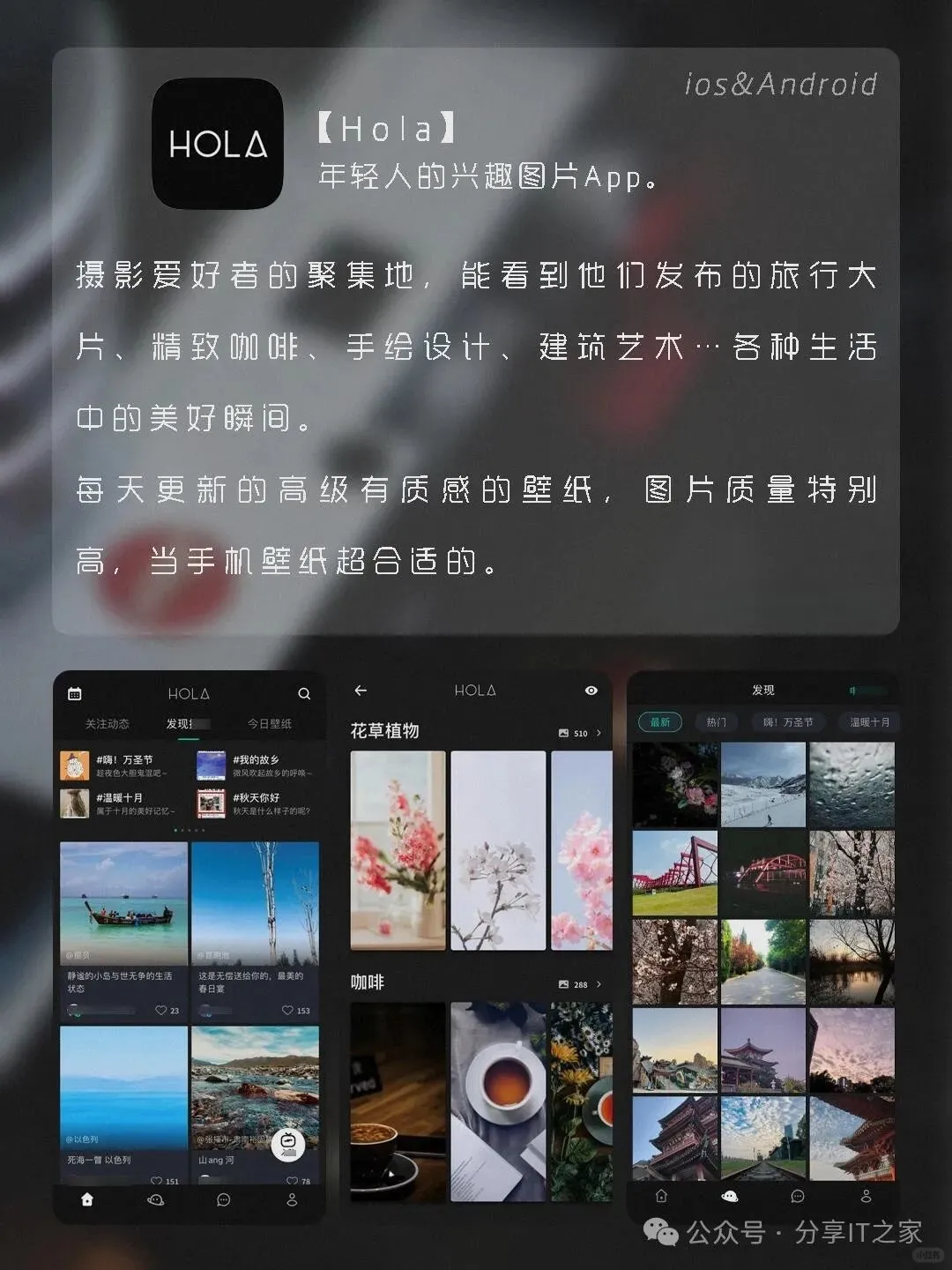 手机里的美学革命！私藏7款神仙级氛围APP✨