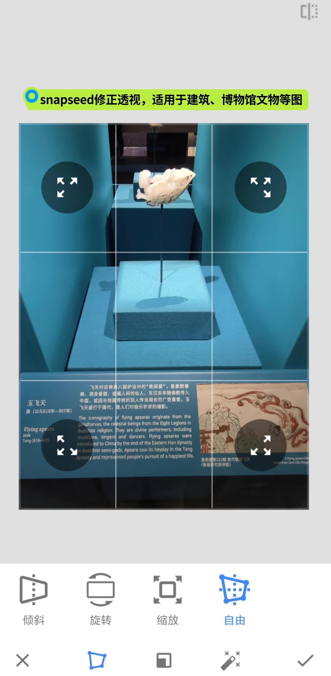 2025实测snapseed安卓手机安装包下载