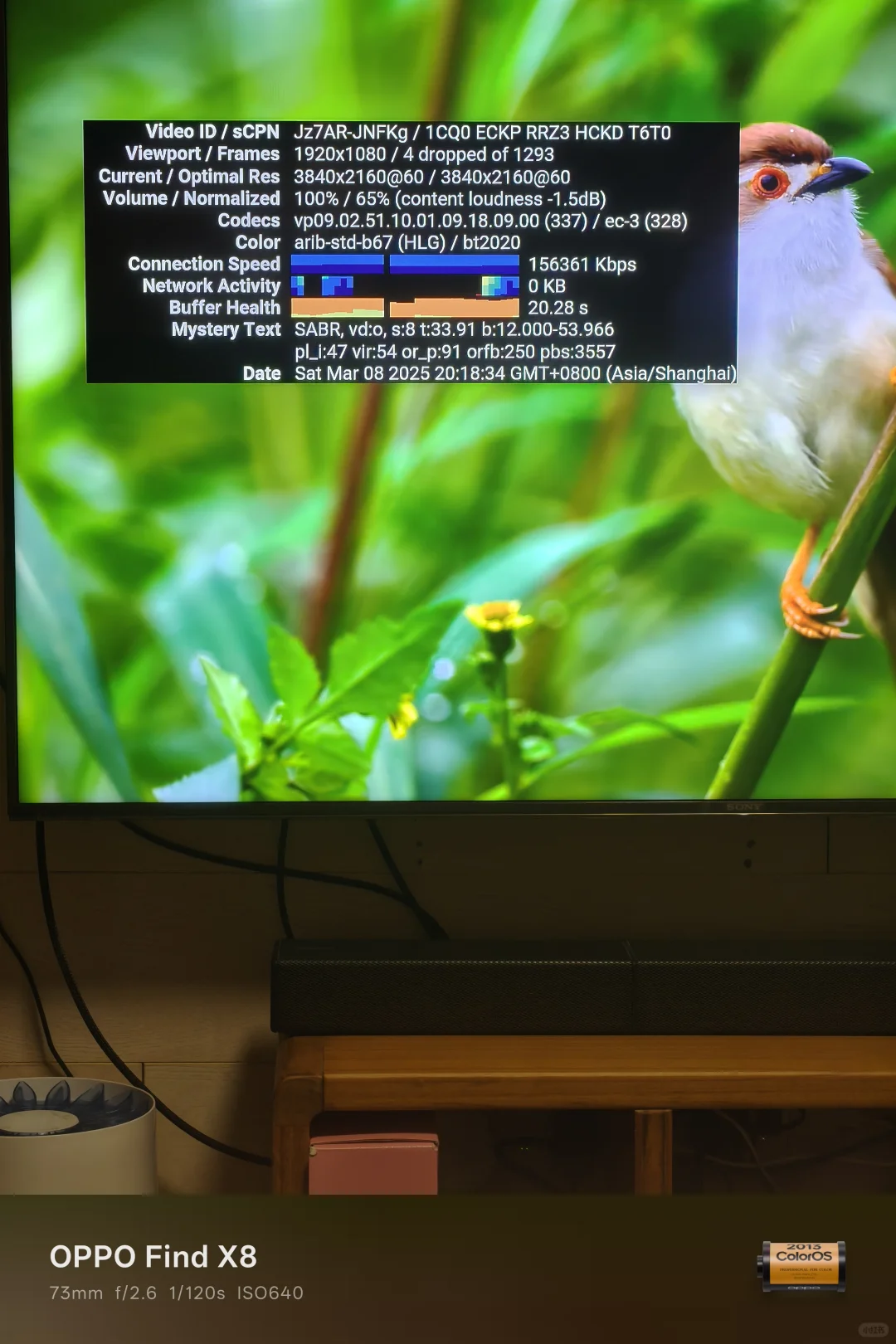 新电视盒Google TV streamer