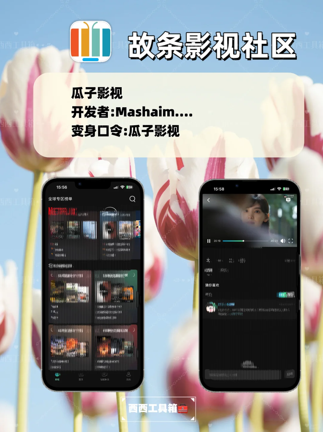 苹果追剧天花板，大师兄回归