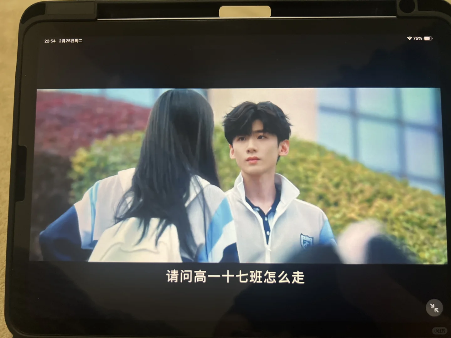 免米追剧一个就够了家人们